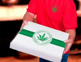 Photo of Treasure Tree Dispensary
