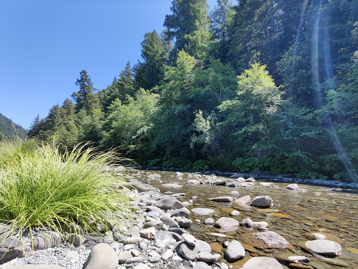 Grizzly Creek Redwoods State Park - Thumbnail