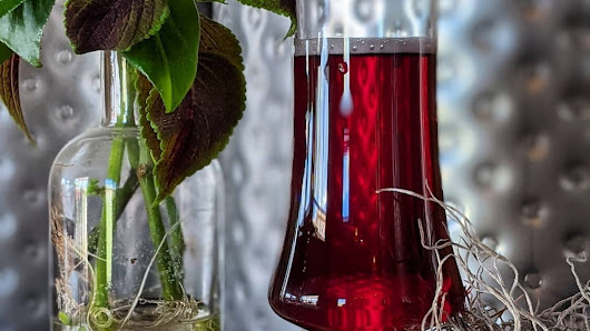 The Greenhouse Cidery 2309 NY-203, Chatham, NY 12037