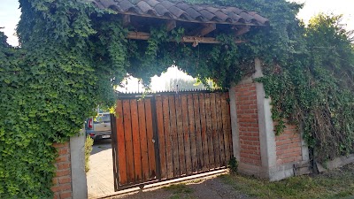 Photos of LICORES CASEROS