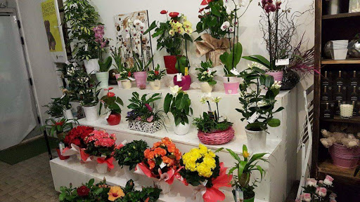 Un Amour de Fleurs
