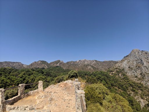 Corzo Viewpoint - Visual
