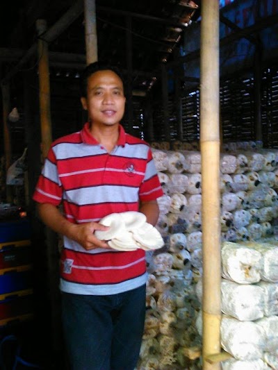 Photos of Jati Nikmat (Jaka Makmur Jamur Tiram Semarang)