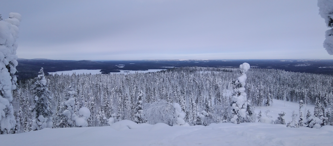 Explore Lapland Evakkotie 30, 96100 Rovaniemi, Suomi