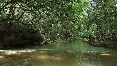 Photos of Parque Nacional de la Biodiversidad