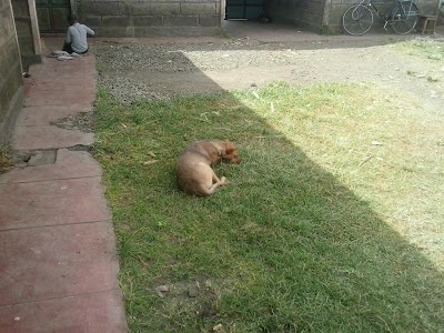 Photos of Rift Valley Institute of Science & Technology