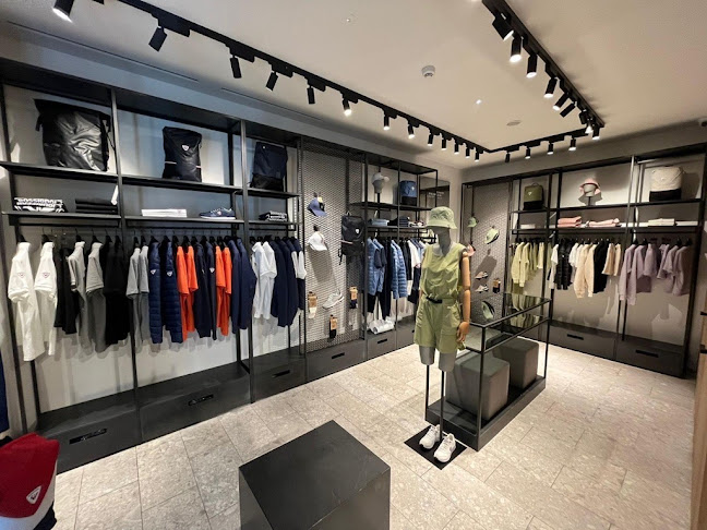 Rossignol - Saint-Germain-des-Prés