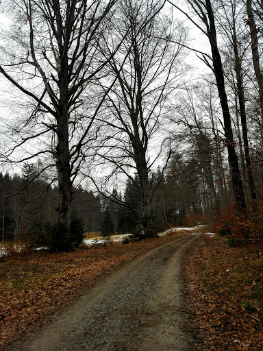 Wanderparkplatz Fuchsenloch