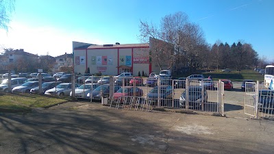 Photos of Багира