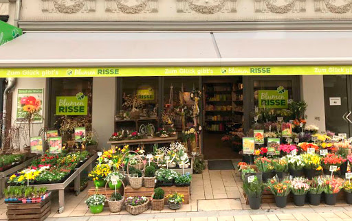 Blumen Risse Blumenladen Minden