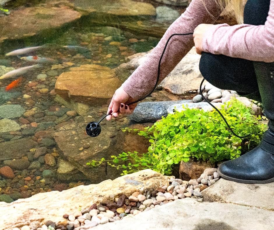 Kingdom Water Gardens