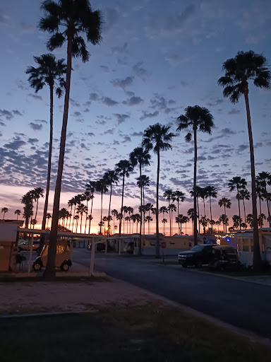 Donna Texas - Visual
