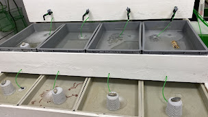 Photo n°7 de Pêche et appâts à Gruissan (Magasin de pêche)