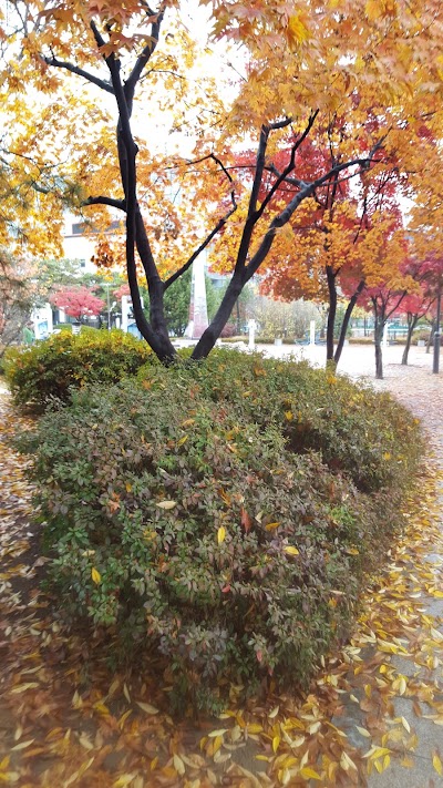 Photos of 덕양구청