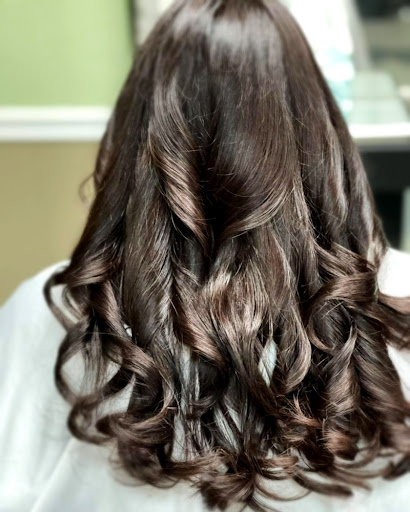 Salon Gallery - Visual