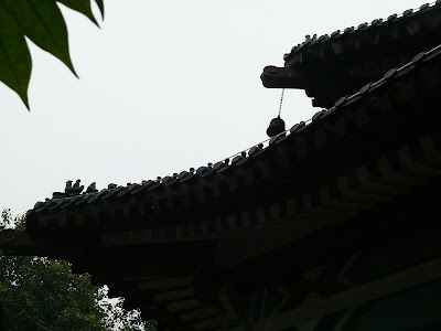 Photos of Temple of the Six Banyan Trees