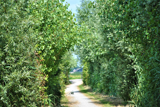 Uitweg van Portengen