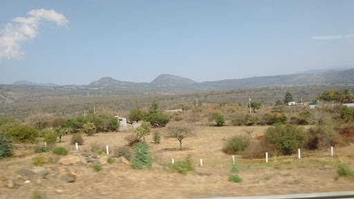 EL JAGUEY,CAPULA