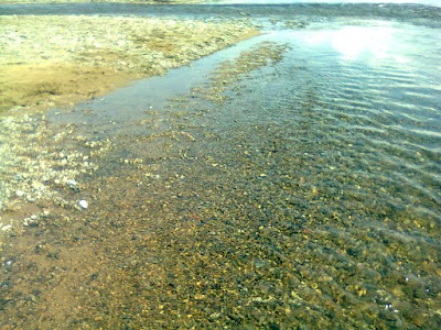 Photos of Khaan Jims Tourist Camp