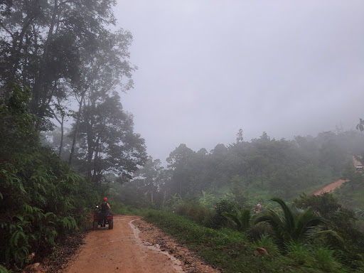 Lexi Samui ATV Quad Bike Tour