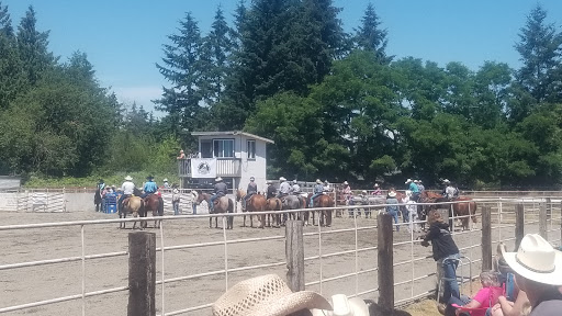 Silver Spurs - Visual