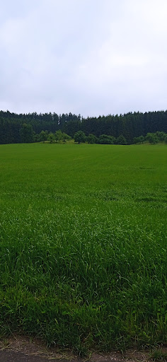Friedhof Volkersheim