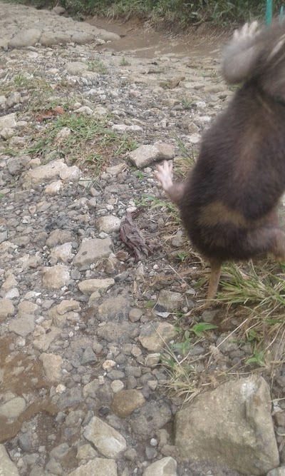 point-of-interest