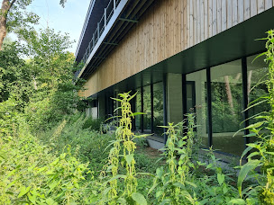 Photo n°1 de Aïkido Vallée de Chevreuse à Saint-Rémy-lès-Chevreuse (Complexe sportif)