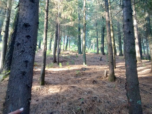 Alberca de San Pedro - Thumbnail