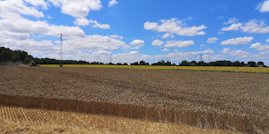 Photo n°2 de La Ferme de Piamot à Genay (Ferme)