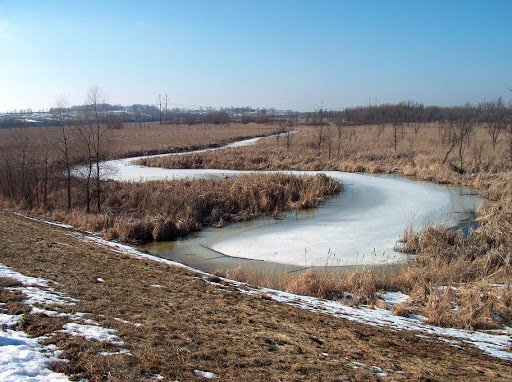 Theresa Marsh Wildlife Area - Thumbnail