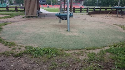 Photos of Tamme stadium