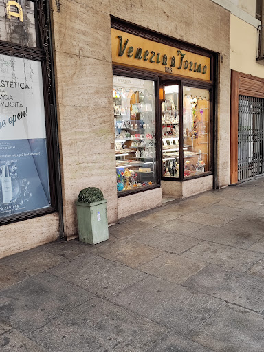 Venezia a Torino