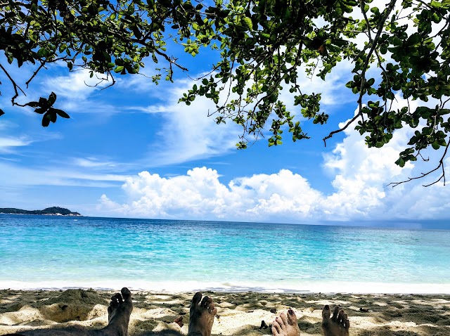 Turtle Beach