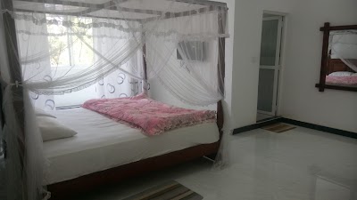 Photos of The Hotel Bloom Star