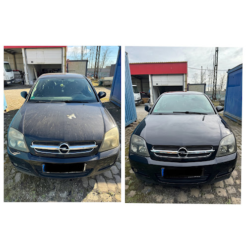 Autoaufbereitung Löwenwasch