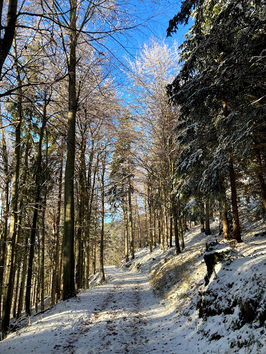 Klamm Alm - Visual
