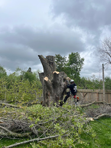 Sarginson's Tree Services work photo 1