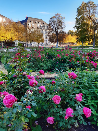 Palaisgarten(Rosengarten) - Thumbnail