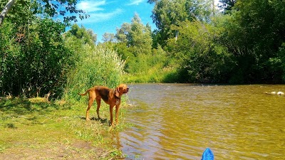 Botts Campground