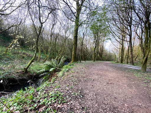 Harrington Nature Reserve - Thumbnail