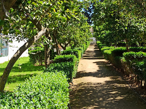El Campito Public Park - Thumbnail