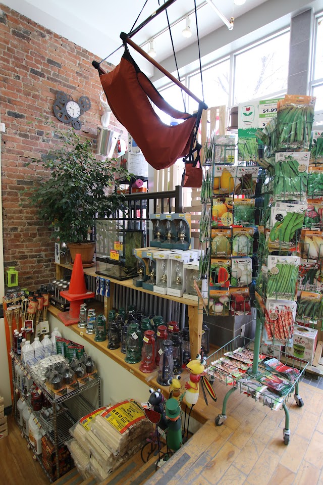 Quincaillerie Azores Inc.