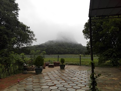 Photos of Kalum Homestay