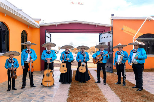Mariachi los venegas (del soñado)
