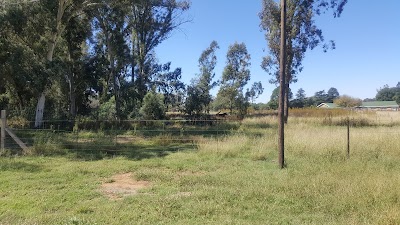 Photos of zareba's