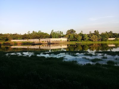 Photos of বর্ষাকালীন জলাভুমি