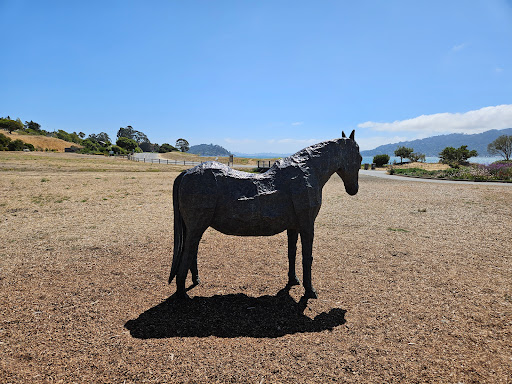 Blackie's Pasture Logo