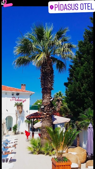 Photos of Pidasus Hotel