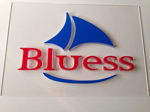 Bluess.it - Visual